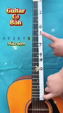 Mẫu đệm guitar #guitarcoban #muadanguitar #daydanguitar #hocguitar #danguitar 