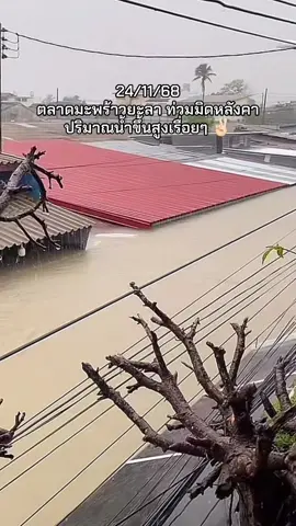 ปีนี้ปริมาณน้ำม่กกว่าปีก่อน ปีก่อนว่าหนักแล้ว ปีนี้หนักกว่าเยอะ✌🏻🤍#น้ําท่วม68 #fyp #ขึ้นฟีดเถอะ #ยะลา #กระแสมาแรง 