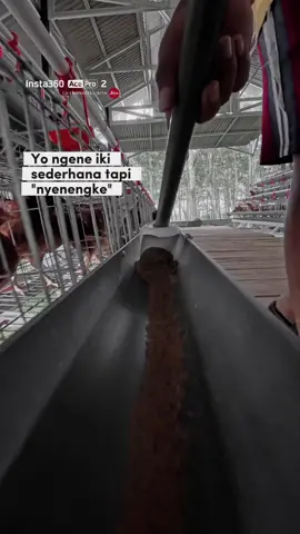 sederhana tapi nyenengke 🙏🙏🙏🙏 #taniternakkekinian kandang #ayampetelur 