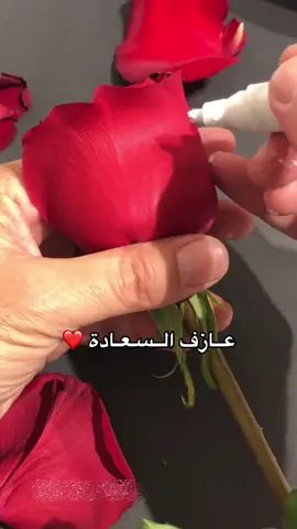 @Giovanna نجوى #عازف_السعادة❤️ 