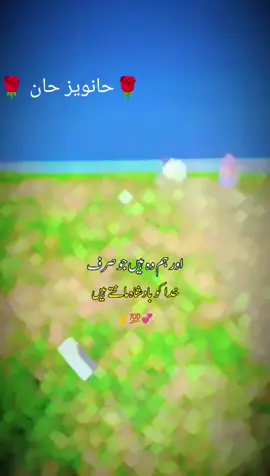 حانویز حان 🌹🌹🌹🌹🌹🌹🌹🌹🌹🌹🌹🌹🌹🌹🌹🌹🌹