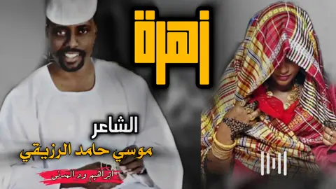 #الشاعر_موسي_حامد_الرزيقى #سودانيز_تيك_توك_مشاهير_السودان #ابراهيم_ود_المدني #السودانين_في_السعوديه #الشاعر_سفير_البلابل 