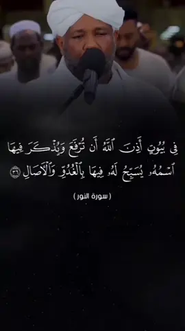 #الشيخ_الزين_محمد_احمد #ارح_سمعك_بالقران #creatorsearchinsihts #الشعب_الصيني_ماله_حل😂😂 #اسيرالصمت00249 