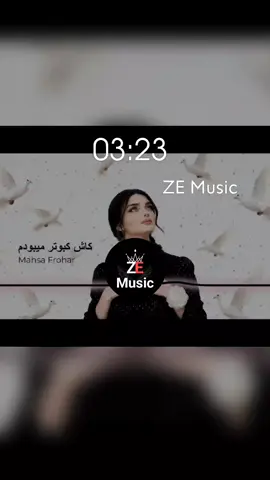 Kash Kabutar Mebodom | Afghan TOP SONG | کاش کبوتر میبودم