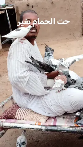 #الشعب_الصيني_ماله_حل😂😂 