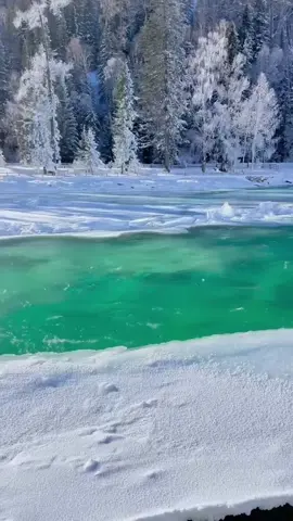 Thiên nhiên # Cảnh đẹp # Tuyết  rơi 