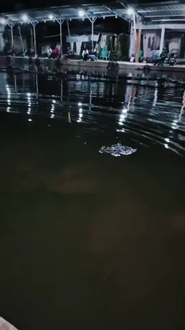 izin 🙏🙏#galatamalele #fyp#pratamafihsing