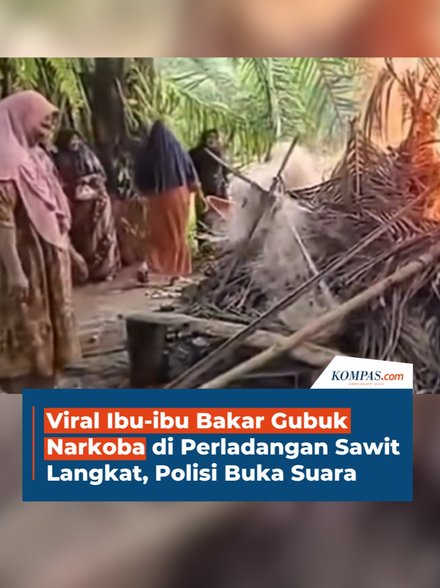 Video ibu-ibu perwiritan membakar gubuk narkoba di perladangan sawit, di Kecamatan Tanjung Pura, Kabupaten Langkat, Sumatera Utara, viral di media sosial.  