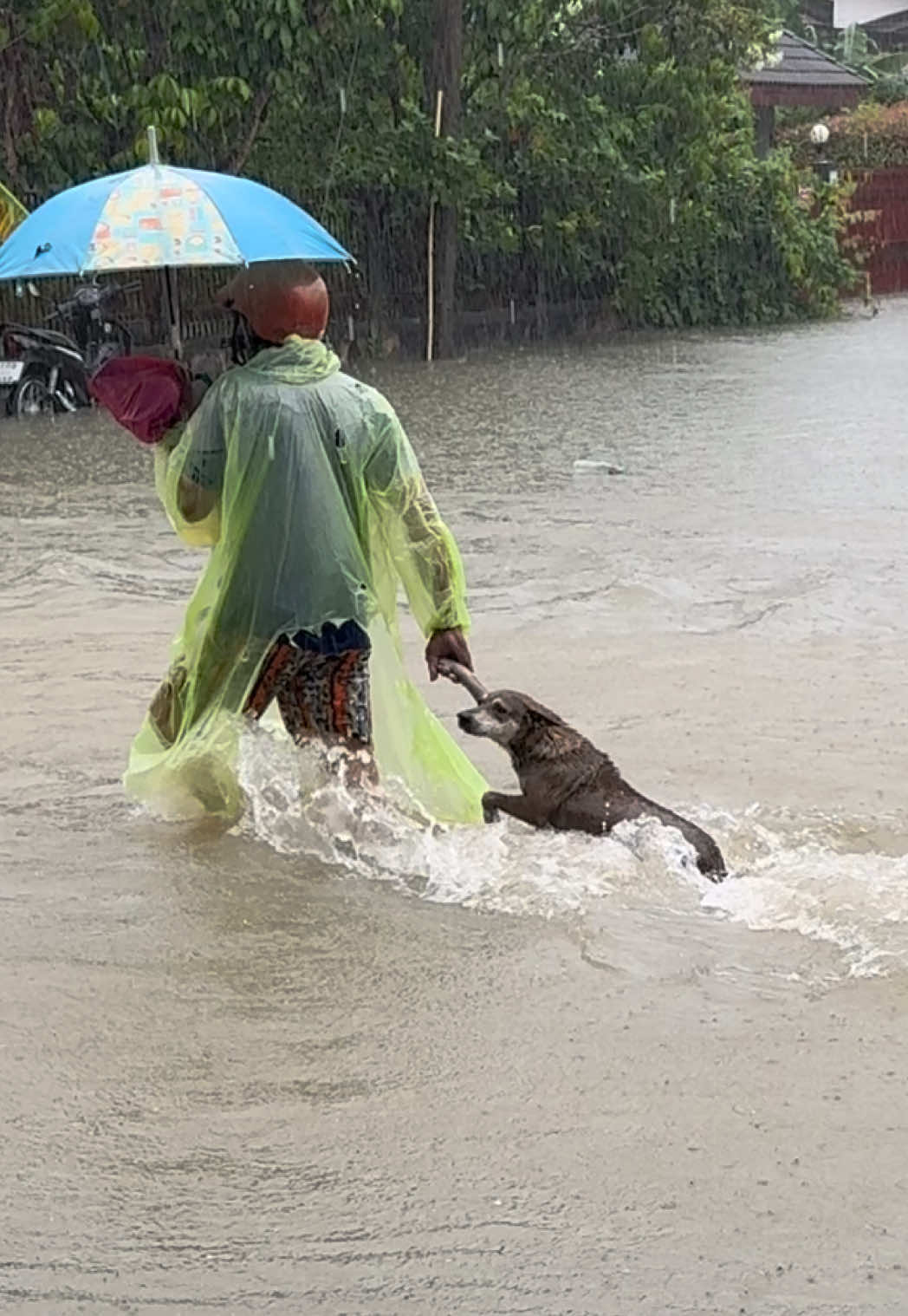 อุ้มไม่ไหว#น้ำท่วม #น้ำท่วมยะลา #ยะลาน้ําท่วมหนัก #น้ำท่วม68 