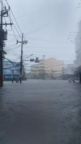 24/11/68 เมืองปัตตานีกลายเป็นทะเลทั้งเมือง🥺🌊#นํ้าท่วมปี68 #ปัตตานี #อัพเดทล่าสุด 