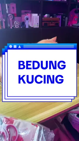 koranggg ada tak susah nak bedung anak bulus. Try laaaa kain ni sangat function wei. Terkejut aku dengan hasil dia  #CatWrapMustHave #KucingTakBergaduhDah #PetGroomingTool #KukuLicinSekejap #BelanjaSiBulu