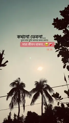 Everyone সবায় আমার আইডিতে কপি লিংক করো id তে ban warning আসছে..!🥺❤️‍🩹 . #foryou #foryoupage #unfrezzmyaccount #tiktok #vairal_video 