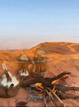 قصايد #شيلات #خواطر #شعر 