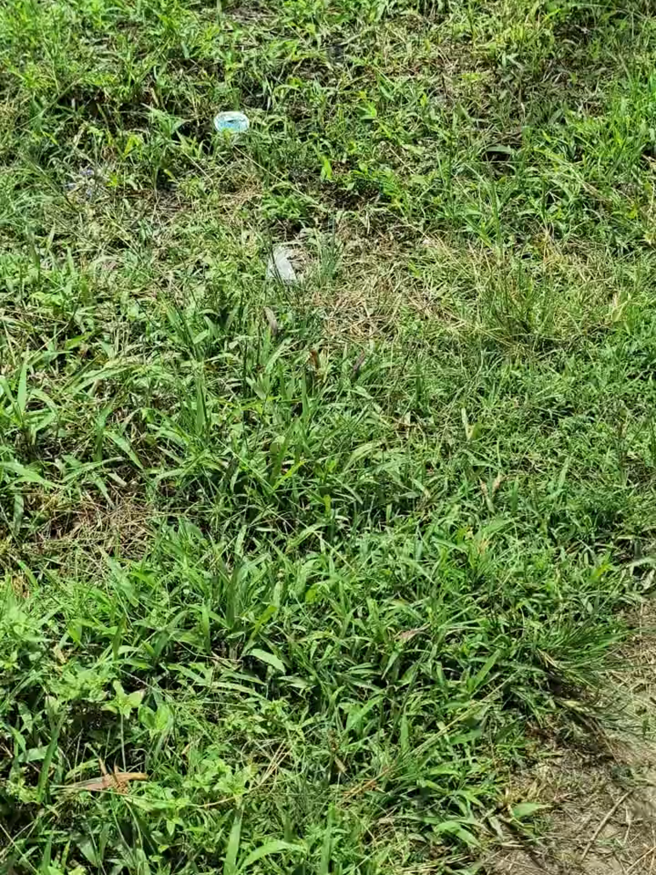 panas cik cuaca + hp nya 🗿#pocox7pro #edge #4k #60fps #fyppppppppppppppppppppppp