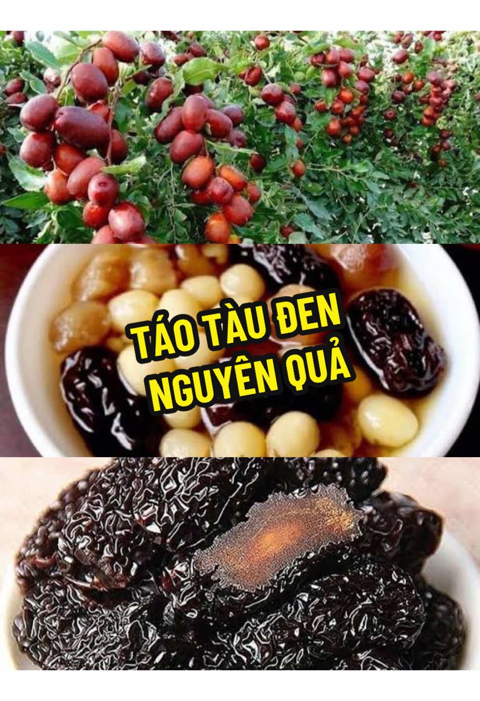 Táo tàu đen, vị ngọt thanh, dẻo dẻo mềm mềm, pha trà, nấu cháo thơm lừng 🍯 Ai thích đồ ngọt lành, thử táo tàu đen nha #taotauden #taotaudensaydeo #phatra #nauche #xhtiktok 