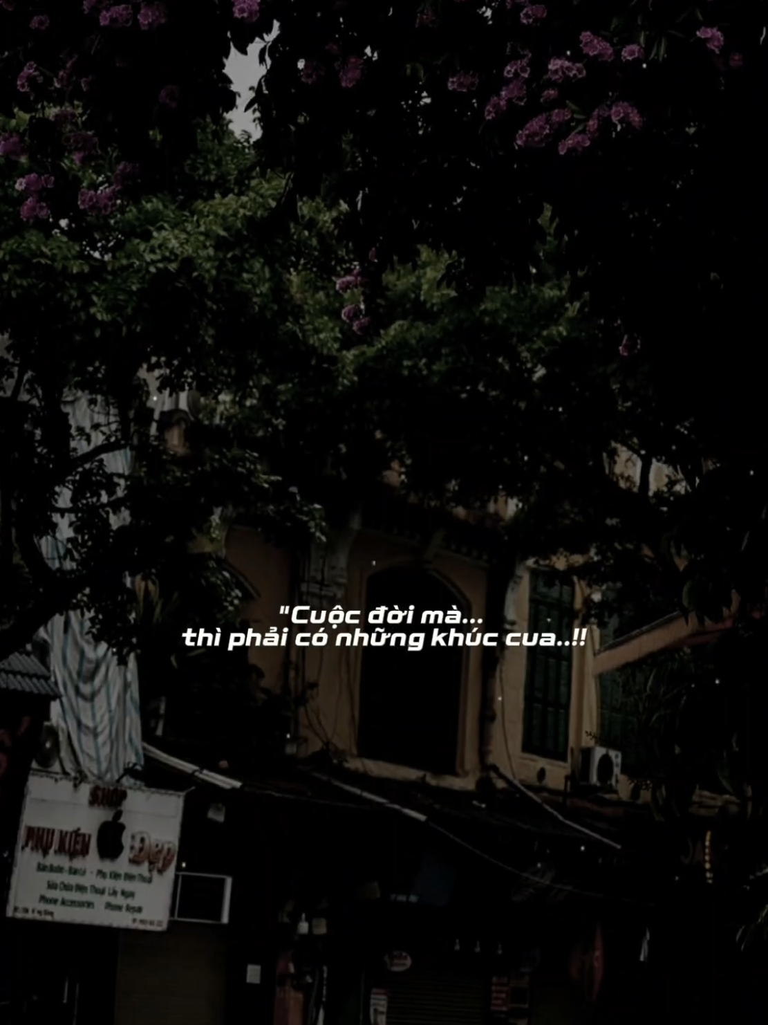 cuộc đời mà #remix #danhtuantrung #khuccuacuocdoi #sbtentertainment #CapCut 