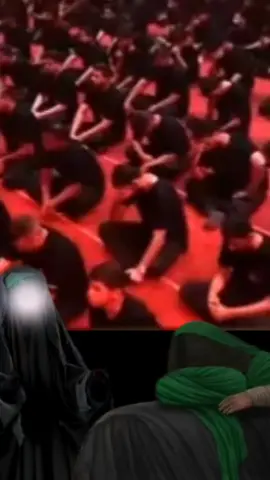 #نعي محمد الصافي على السيده فاطمه الزهراء عليها السلام #عضم_الله_اجورنا_واجوركم_ #🤲🤲🤲 