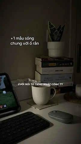 Đồng Nghiệp - Hoàng Rapper #dongnghiep #hoangrapper #capcut #capcutpioneer #pioneertemplate 