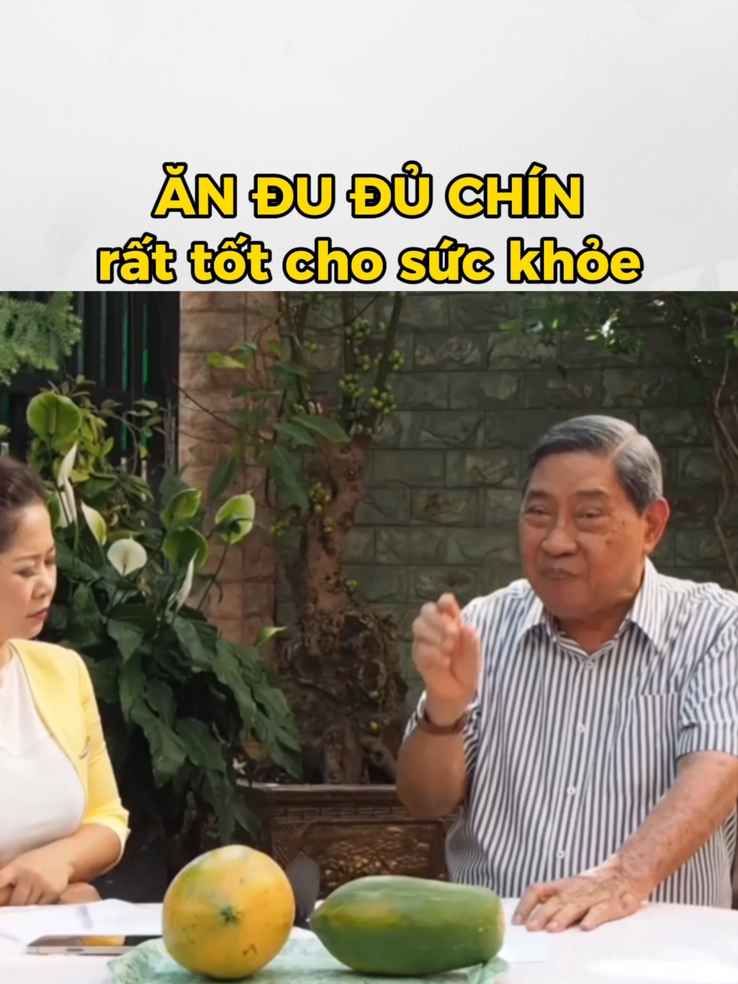 Đu đủ chín rất tốt cho sức khỏe #dudu #taobon #taibien ##nguyencongduc #baithuochay #baithuocdangian #xuhuong #LearnOnTikTok #viral