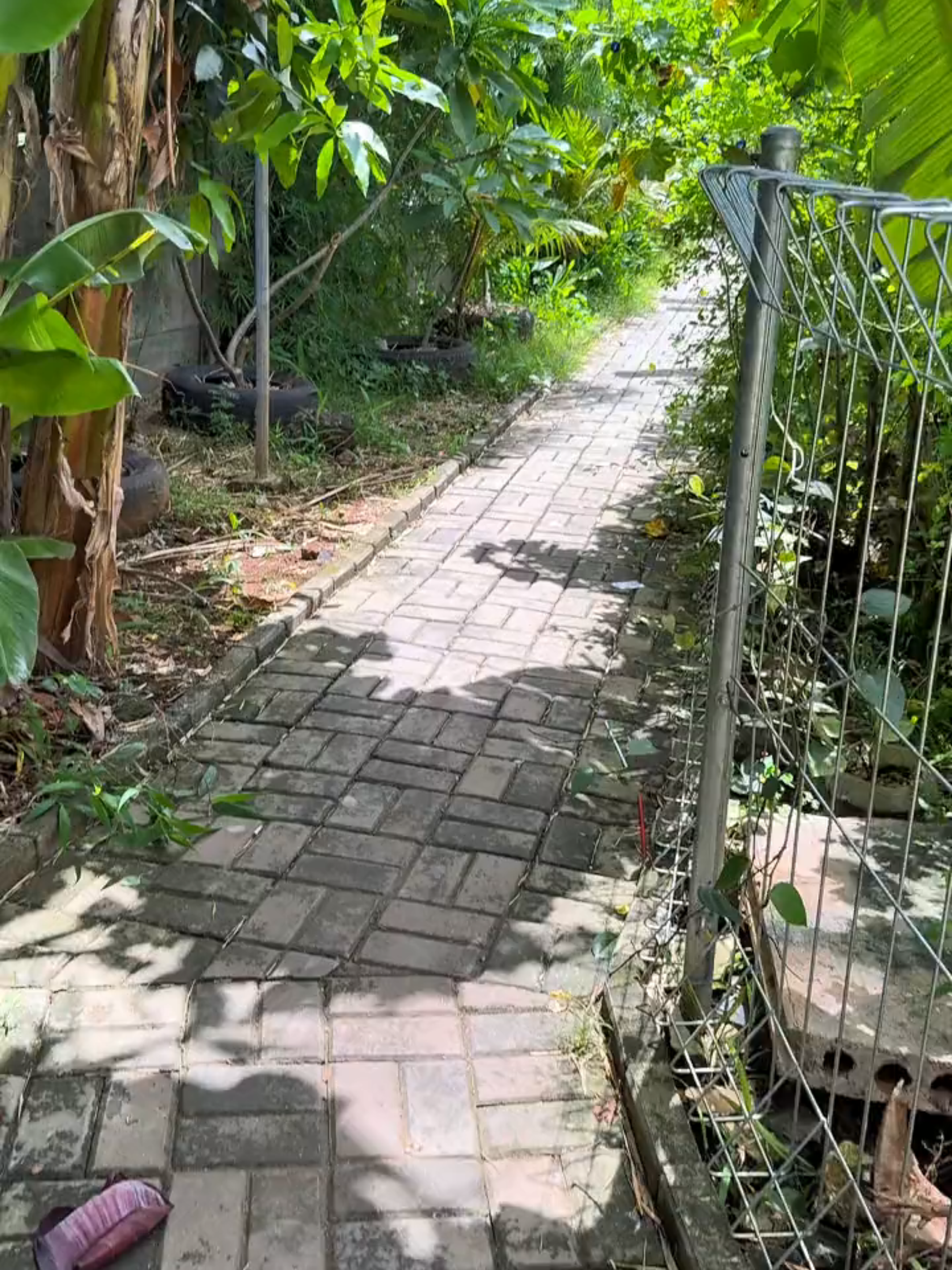 Infinix Hot 12 play di siang hari secerah ini ya🌤️ #4k60fps #edge #microsoft #oldvibes #fyp #cinematic #fyppppppppppppppppppppppp