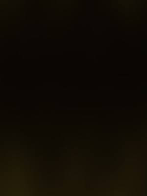 Pozwól, aby twój obrót teraz rosłądzięki TikTok.