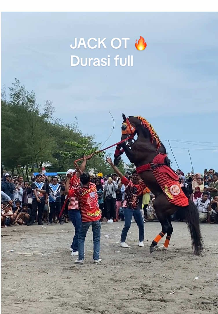 gayengke jarum jarume wo🔥🔥 #purworejo24jam  #kebumenhits  #kudajingkrakpurworejo  #kudajogedkebumen 