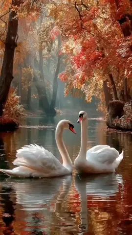 #песня #💝💝💝💝 