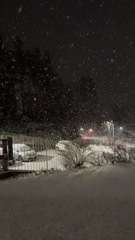 ✨🎄❄️Snow brightens winter days in Finland.#suomi #finland🇫🇮 #suomitiktok #talvi #travel 