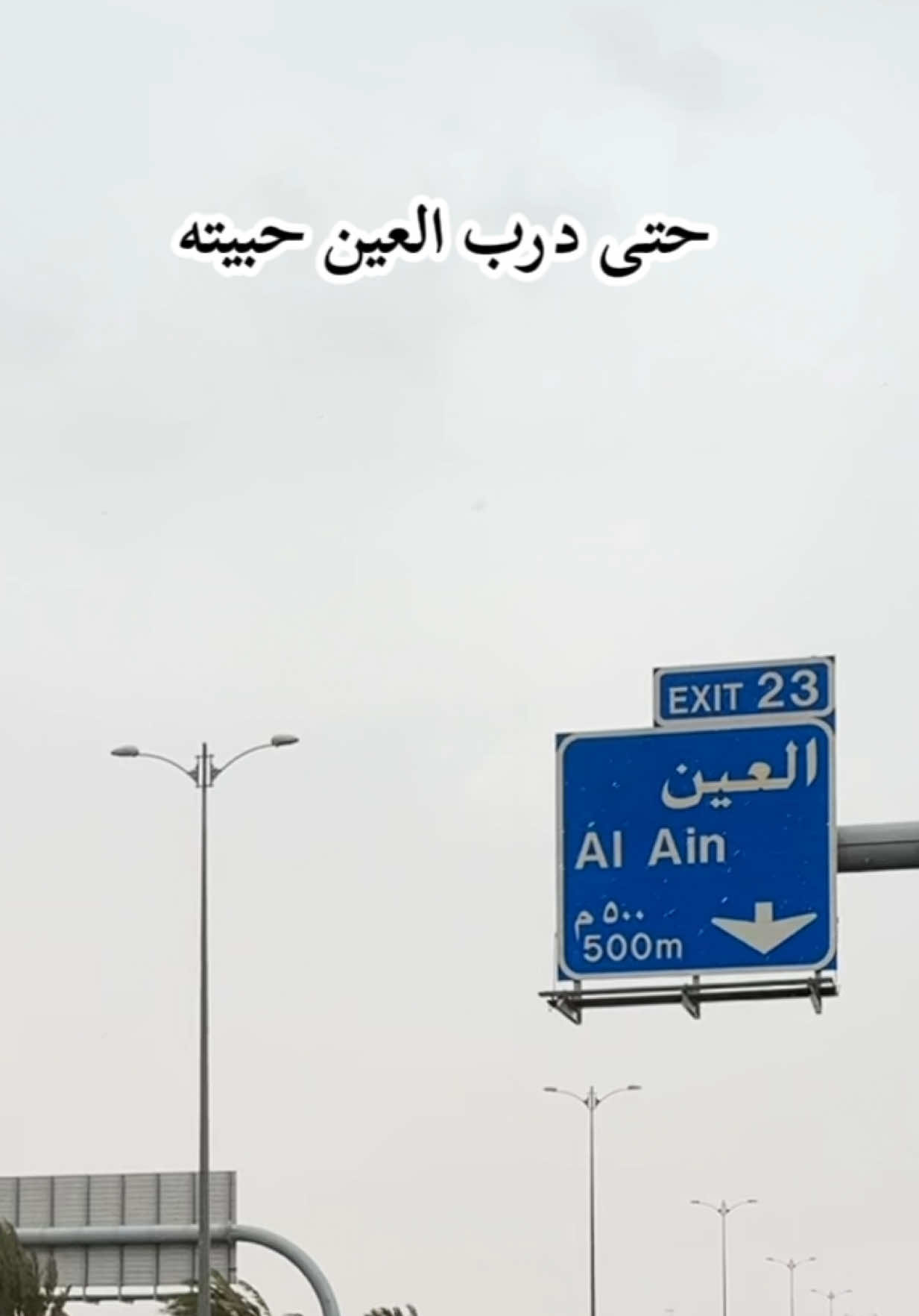 ميحد حمد _ من غلاك وكثر ما أحبك حتى درب العين حبيته _ أوصلك مشتاق وأفرح بك فرحة الغايب دخل بيته #ميحد_حمد #ميحد #العين #العين_دار_الزين #عيناوي 