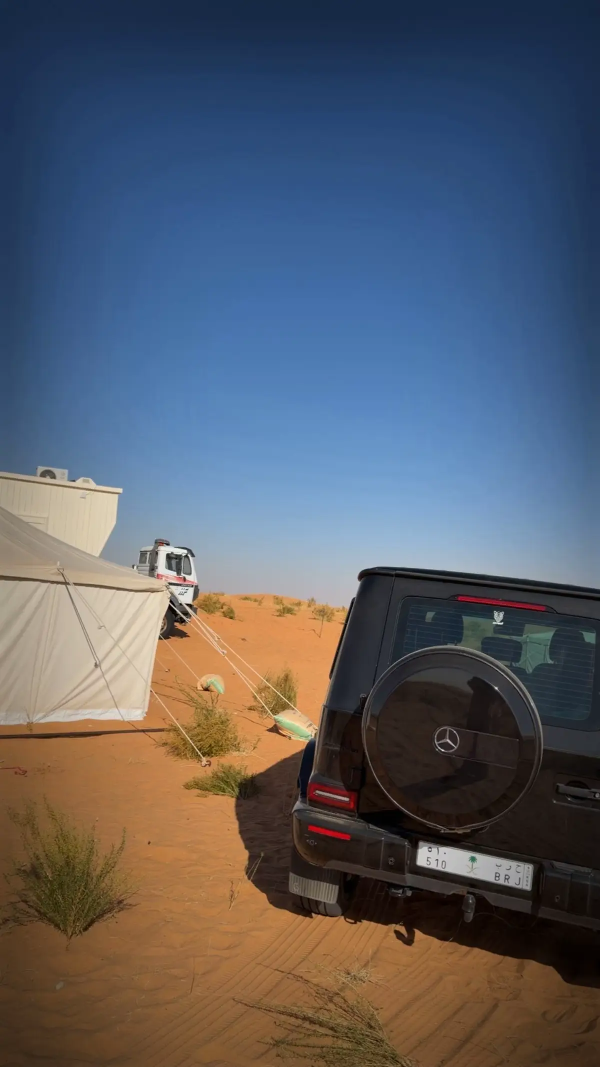 #fypppppppppppppppppppppp #الأبل_عطايا_الله #البل #حرب #الحربي 