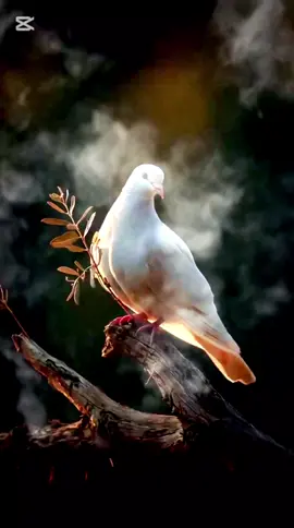 #خواطر_اقتباسات_عبارات  #نحن_نكبر_يوم_بعد_يوم  #❤️❤️❤️  #اكسبلور #CapCut 