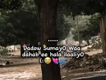 #likesaar💕 #sumayO💕 🫂#cusmaan🤴🏾🦕 #pppppppppppppppp #omgg😫❤️ @Suمaىo🐍🚩 