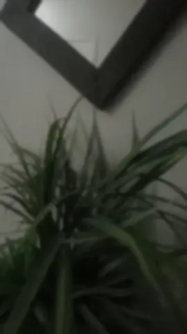 - ربـي إنّــي لمـا أنـزلـت إلـيّ مـن خـيرٍ فقـير -