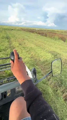 Gurih”dikit🤣#bimo102ss #combineharvester #fyppppppppppppppppppppppp #lewatberandafyp #jangkauanluas 