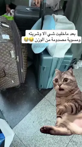 اكيد في خطئ بالوزن 🤭 كلها اشياء بسيطة  #مشوار_للسياحة #yolcutour  #سفر #تركيا #اسطنبول 