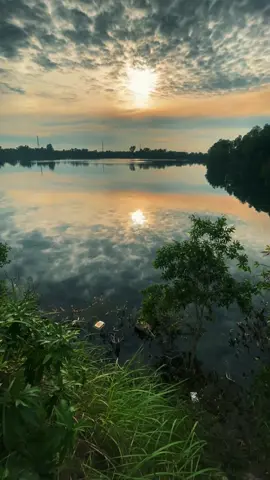 Tình mình như đôi uyên ương người ơiiii…#xuhuong #chill🌤️