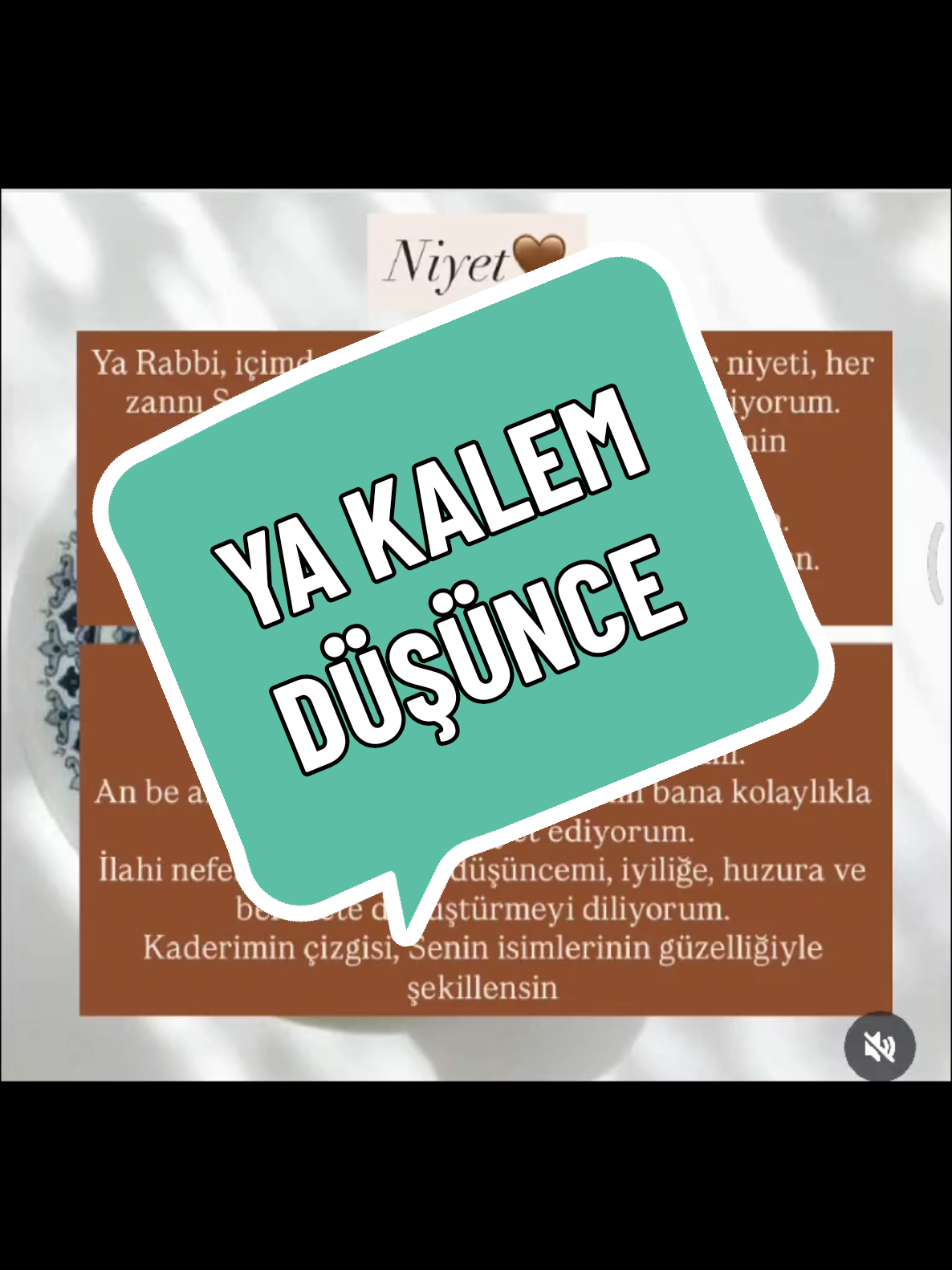 @BİLGEADAM✅ @BİLGEADAM✅ 