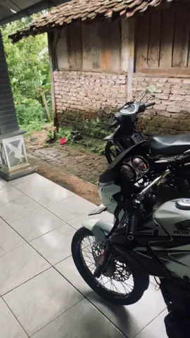 ngecemes #tigergnk🚀 #tigernganjuk #fyp 