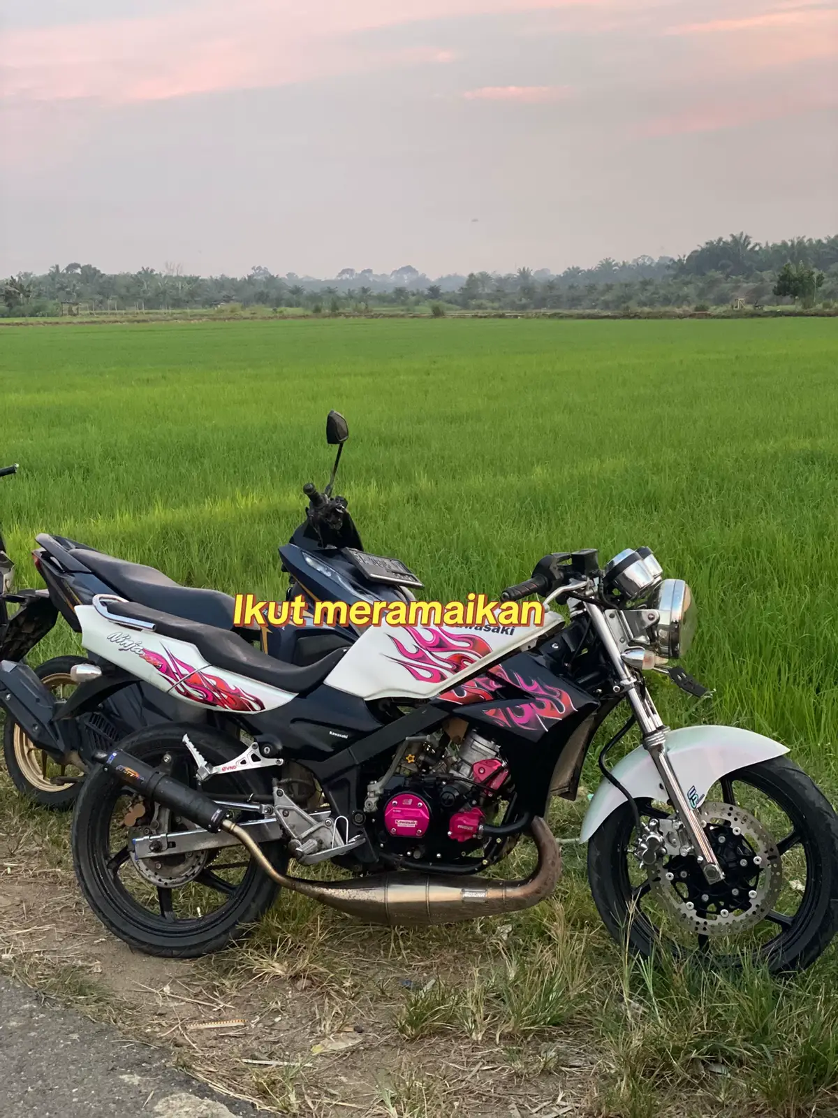 Ikut meramaikan@D'BHAC store #fyppppppppppppppppppppppp #cbindonesia #cbdbhc