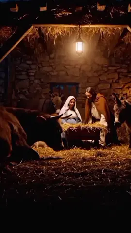 💛💛💛💛💛💛#viral #fry 