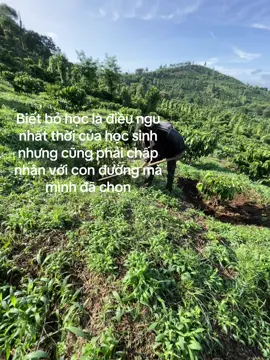 Các bạn có hối hận khi bỏ học khôngg #xhhhhhh#lmnong