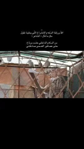 #fyp #foryou #الشعب_الصيني_ماله_حل😂😂 