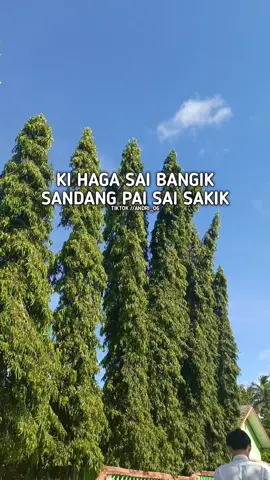 sabar dunia butuh proses gak semuanya instan #fyppppppppppppppppppppppp #tiktok #trending #viral #terbaru 