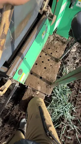 job pertanian impian kita kitaa#kenshuseijapan🇮🇩🇯🇵🎌 #fyp #pertanianjepang #beranda #日本 