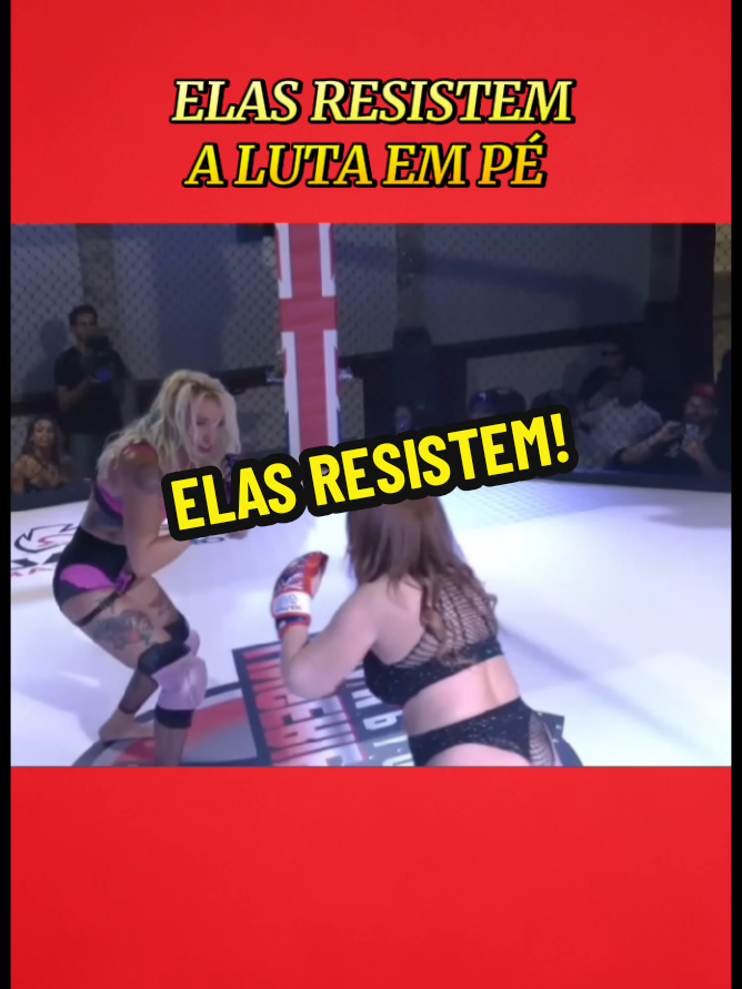 Elas resistem a luta.#luta #mma #tiktok #UFC #curtir 
