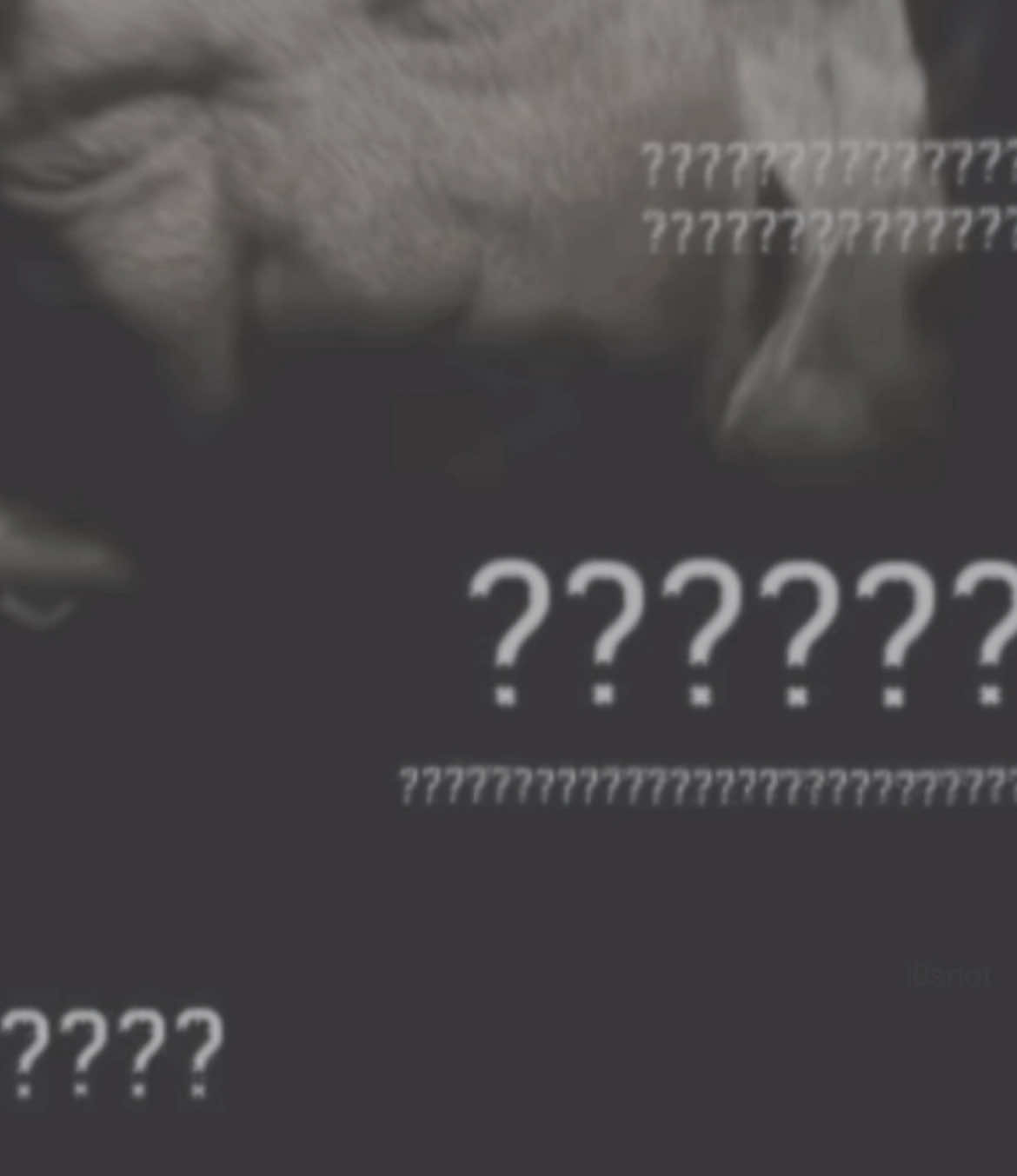 so many tears shed whilst making this #i0sriot #loathe #kadeemfrance #metal #fyp 