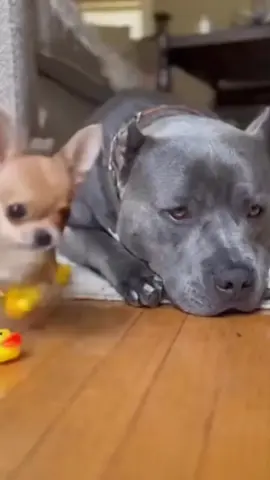 #Sabee #fyppppppppppppppppppppppp #views #1millionaudition #100k 