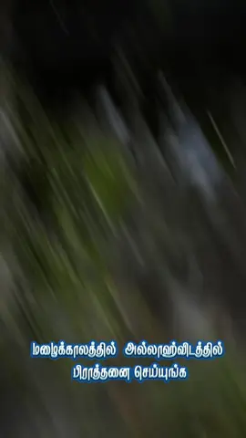 #INDIA_AJMEER🇮🇳 