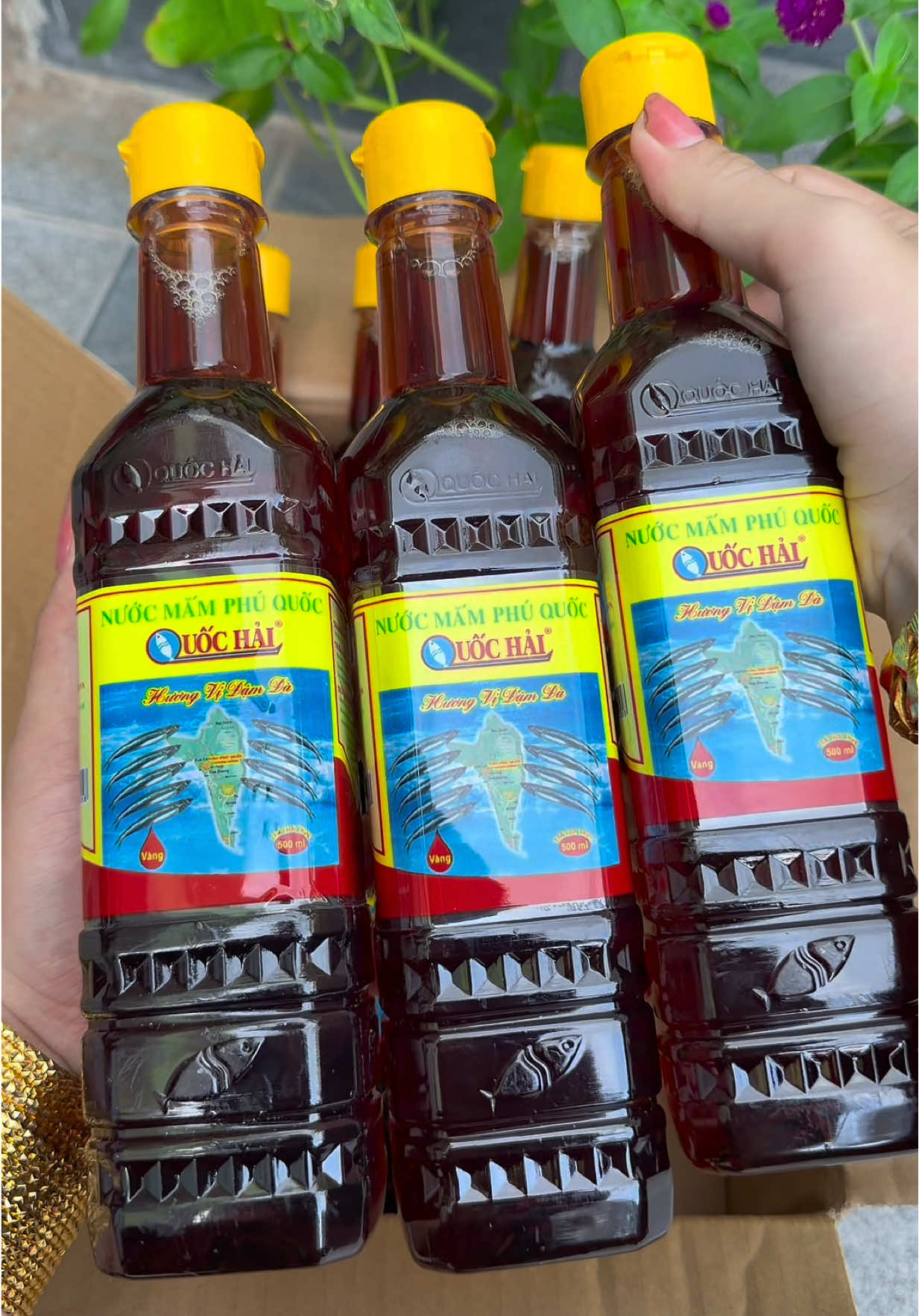 Combo 8 chai nước mắm Phú Quốc Quốc Hải  #emkieutaphoa #nuocmam #nuocmamphuquoc #nuocmamquochai #nuocmamtruyenthong 