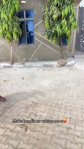 @Asisat Oshoala God abeg o😹🥹